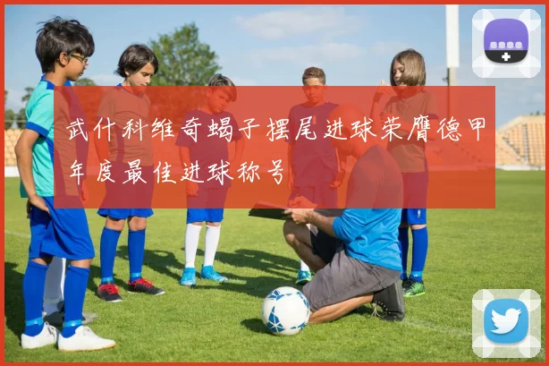 武什科维奇蝎子摆尾进球荣膺德甲年度最佳进球称号