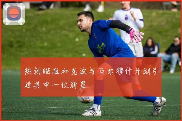 热刺瞄准加克波与马尔穆什计划引进其中一位新星