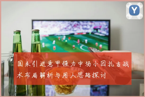 国米引进意甲强力中场小因扎吉战术布局解析与用人思路探讨