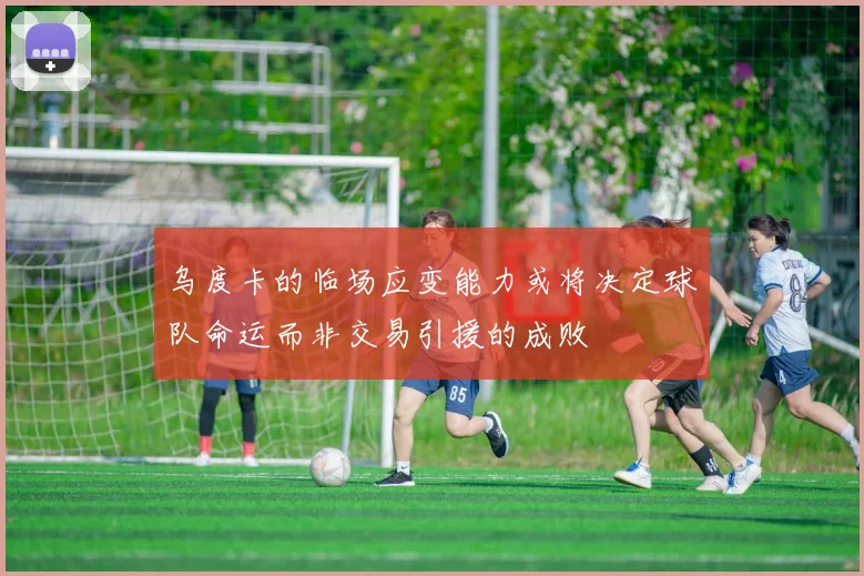 乌度卡的临场应变能力或将决定球队命运而非交易引援的成败