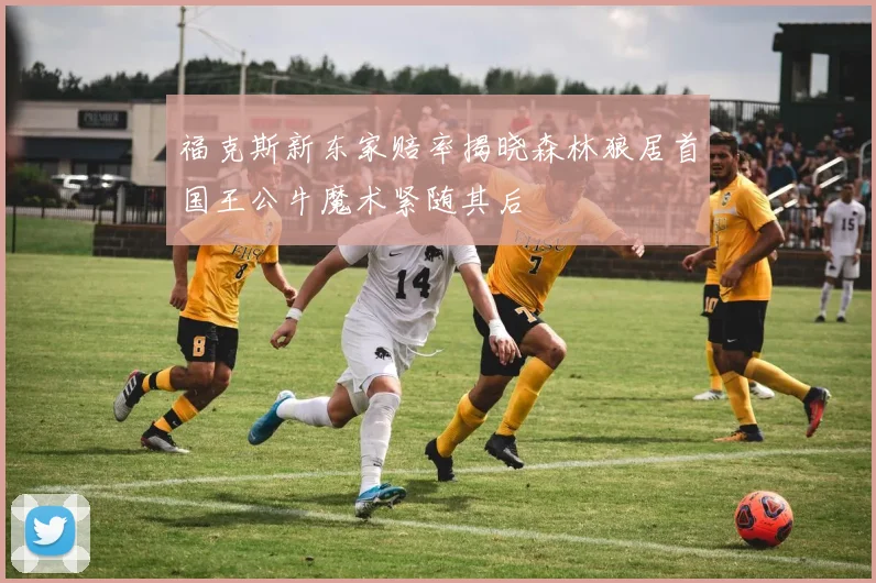 福克斯新东家赔率揭晓森林狼居首国王公牛魔术紧随其后